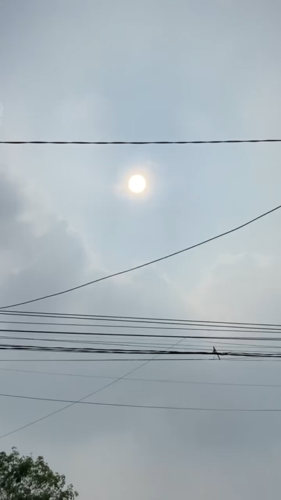 reel-1